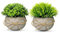TFCIOD 2 Piezas Plantas Artificiales Decorativas, Planta Artificial Pequeña, Mini Ecologización Macetas Artificiales Decorativas, Fake Plants para Cocina, Salón,Oficina Mesa, Decoracion (003)