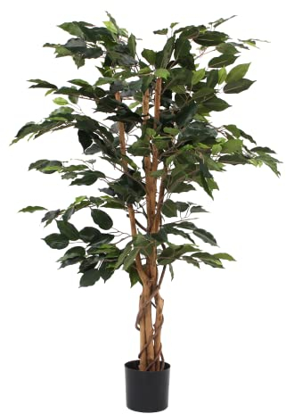 Mica decorations Ficus Benjamin im Kunststofftopf Kunstpflanze, Polyester, grün 65 x 65 x 110 cm