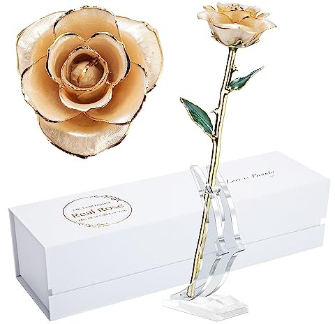 MAXSPT 24 Karat Gold getauchte Rose, Gold getauchte Rose aus echter Rose, tolle Geschenke für Meine Liebe, Elfenbein mit Ständer