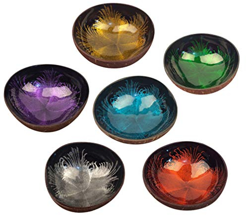 Cabilock Bol à sauce en noix de coco naturelle ronde pour plats à sushis et sous-marins, mini assiette d'apéritif, petit casse-croûte, bonbons, riz, pâtes, bol de bureau