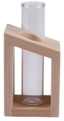 Dacvgog Vase im Reagenzrohrständer aus Glas Blumentöpfe für Hydrokulturen Haus Garten Dekoration