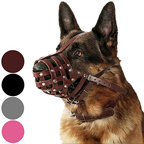CollarDirect Maulkorb für Hunde, Deutscher Schäferhund, Dalmatiner, Dobermann, Setter, Lederkorb, mittelgroß, für große Rassen, Schwarzbraun (L, Kastanienbraun)
