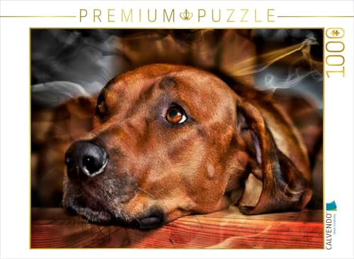 CALVENDO Puzzle EIN Motiv aus dem Kalender Rhodesian Ridgeback - Moments - | 1000 Teile Lege-Größe 64 x 48 cm Foto-Puzzle für glückliche Stunden