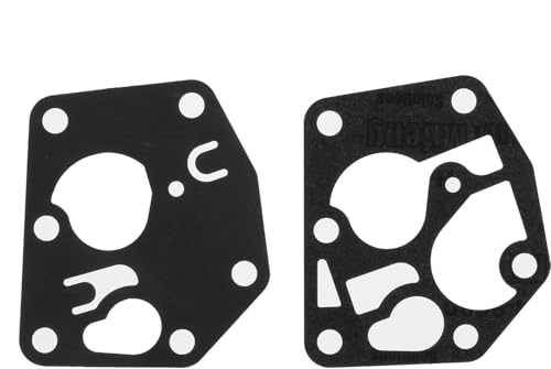 Membrane avec joint compatible avec Briggs & Stratton remplace 795083