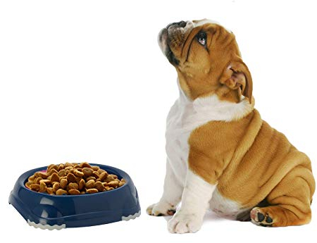 DOG CENTRE 2x Dark Blue 0.2L Plastic NonSlip Dog Puppy Pet Animal Feeding Food Water Bowl Dish