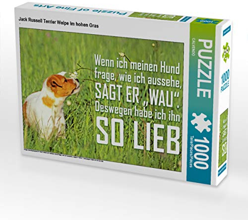 CALVENDO Puzzle Jack Russell Terrier Welpe im hohen Gras 1000 Teile Lege-Größe 64 x 48 cm Foto-Puzzle Bild Verlag
