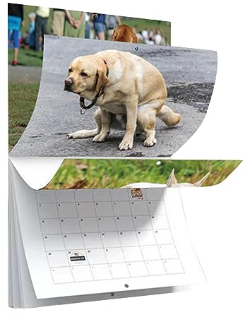 Eteslot Dog Pooping Calendar 2024, Dogs Pooping In Beautiful Places Calendar, Funny Monthly Wall 2024 Calendar Dog Pooping, Paper Calendar Decorative