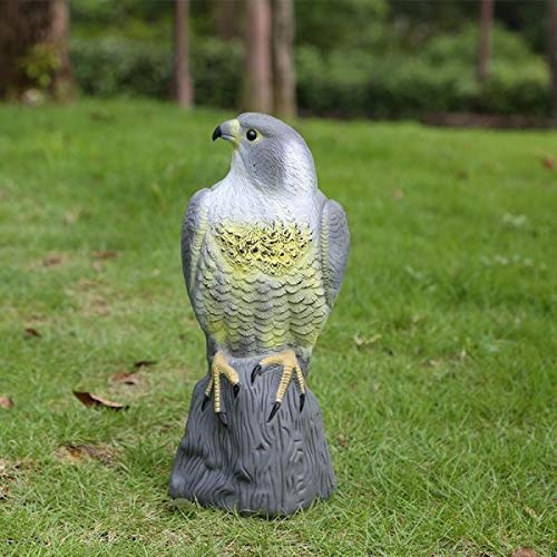 Garden Mile Realistic Falcon Bird Deterrent Decoy for Garden Pest Control | Life-like design, Plastic hawk, Bird of prey decoy, Outdoor use, Protects lawns & gardens