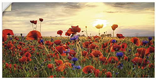 ARTland Wanddeko Wandtattoo selbstklebende Vinylfolie 100x50 cm Sommer Sonnenuntergang Pflanzen Blumen Mohn Blumenwiese J8SM