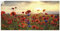 ARTland Wanddeko Wandtattoo selbstklebende Vinylfolie 100x50 cm Sommer Sonnenuntergang Pflanzen Blumen Mohn Blumenwiese J8SM