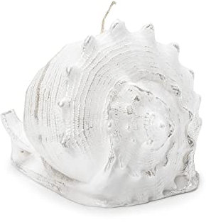 In Flore, Muschelkerze, Perle, 10 cm, weiß
