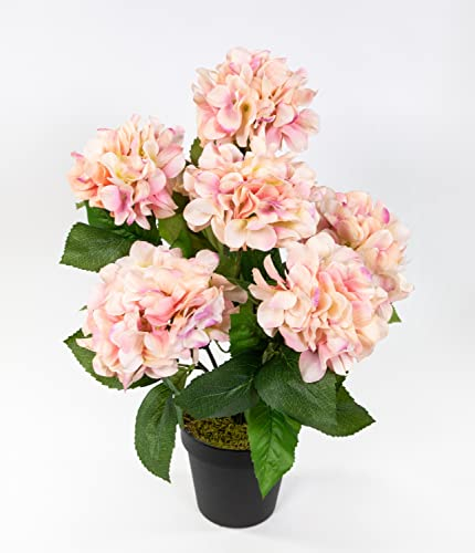 Seidenblumen Roß Großer Hortensienbusch 50x38cm rosa im Topf GA Kunstpflanze Kunstblumen künstliche Hortensie Pflanze