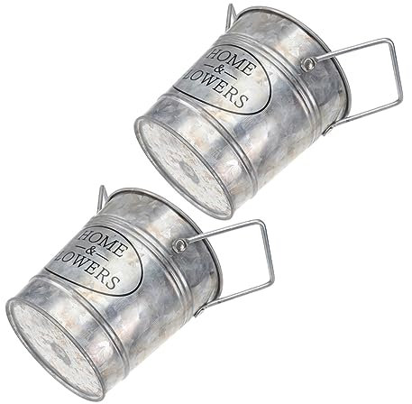 BESPORTBLE 2stücke Vintage Eisen Blumentöpfe Für Pflanzen Kreative Bonsai Töpfe Für Garten Und Wohnung Für Schreibtisch Balkon Und Innenräume