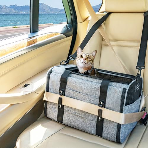 Petsfit Transportbox Katze Hundebox Auto Katzentransportbox Transportbox Hund - Faltbare Tragetasche mit 2 Patent-Schnallen für Autositz, 4-seitigem Netz & Abnehmbarem Kissen, M/Grau