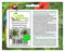 Stk - 10x Beaucarnea recurvata Elefantenfuß Garten Pflanzen - Samen B777 - Seeds & Plants Shop by Ipsa