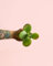 Kalanchoe Mini | Plantas Naturales | Pur Plant