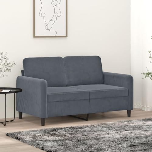 Willood 2 Sitzer Sofa mit Schlaffunktion Couch für Wohnzimmer Schlafzimmer Dunkelgrau 120 cm Samt