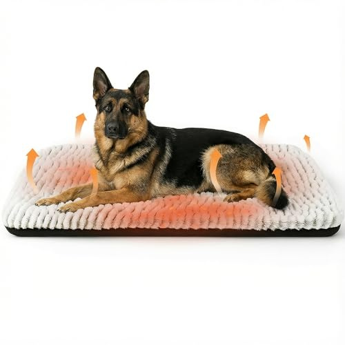 GWAEPU Selbstheizende Decke für Hunde: 60x90cm Flauschig Selbstwärmende Hundedecke Katzendecke ohne Kabel Wärmematte Dick und Weiche Waschbar rutschfest Geeignet für Drinnen und Draußen