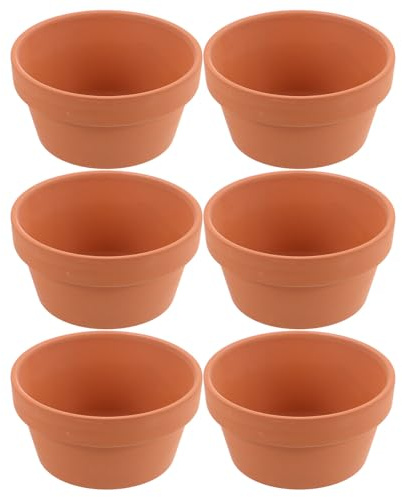 Lot de 6 Mini Pots en Céramique Rouge 11x6cm pour Cactus et Succulentes | Trou de Drainage, pour Intérieur et Extérieur, Équilibre L’Humidité du Sol, Usage sur Étagère