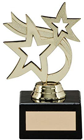 A1 PERSONALISED GIFTS Hunter Gold Star Achievement Trophies