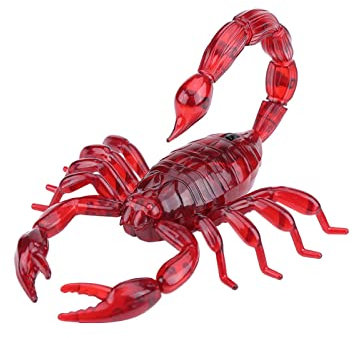 Dilwe RC Scorpion Spielzeug, Infrarot Fernbedienung Scorpion Modell Spielzeug RC Tier Kinder