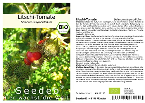 Tomate® Litschi-Tomate (Solanum sisymbrifolium) 20 Samen BIO