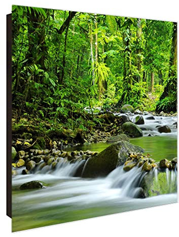 banjado Großer Schlüsselkasten Glas - Schlüsselbox 30x30cm mit 50 Haken - Schlüsselkasten modern für Schlüsselaufbewahrung mit beschreibbarer, magnetischer Glastür - Motiv Bach Wald