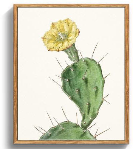 MHARTK66 Vintage Botanisch Leinwand Bilder mit Rahmen Holz, 30x40 cm Wandbilder Wohnzimmer Einstachelige Opuntia Flowering Plants Bild Aesthetic, Wanddeko Schlafzimmer Badezimmer Büro Zimmer