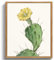 MHARTK66 Vintage Botanisch Leinwand Bilder mit Rahmen Holz, 30x40 cm Wandbilder Wohnzimmer Einstachelige Opuntia Flowering Plants Bild Aesthetic, Wanddeko Schlafzimmer Badezimmer Büro Zimmer