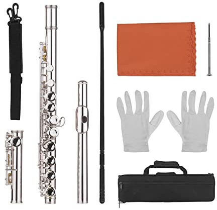 DZDZDZ querflöte Instrument 16 Löcher Geschlossene Loch Flute C Schlüsselflöten Cupronickel Holzwind Instrument Mit Putzen Tuch Stabhandschuhe Einsteigerflöte
