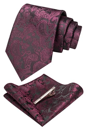 JEMYGINS violett krawatte Paisley Seide Herren Krawatten und Einstecktuch mit krawattenklammer Sets