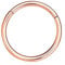 NAVZA Surgical Steel Nose Rings- Nose Hinged Hoops for Men and Women - Body Piercing Jewelry Earrings Lip Rings 6mm-7mm-8mm-9mm-10mm (Rose Gold 20g, 6mm)