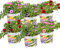 6x Mélange Calibrachoa - Pétunia à petites fleurs - Plante annuelle - ⌀10.5 cm - 10-15 cm