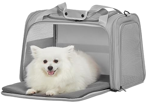 Petsfit Transportbox Katze kleine Hunde leicht Hundetasche für kleine Hunde Katzen Transporttasche Hundetragetasche,Hunde Tragetasche Hund mit Schutzgurt & erweiterbare Matte, L/Grau