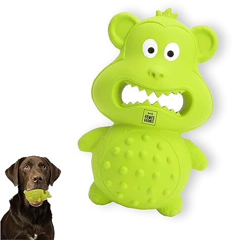 Homes&Bones Karlchen Hundespielzeug befüllbar aus Naturkautschuk zur Hundebeschäftigung & Interaktion als Leckerliespielzeug, Futterball & Intelligenzspielzeug für mittlere bis große Hunde grün