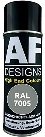 Alex Flittner Designs Vernice antiruggine 4 in 1 RAL 7005 grigio topo metallo vernice protettiva spray vernice antiruggine