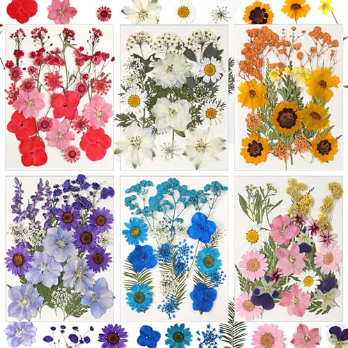 Dried Flowers for Resin, 106pcs Natural Flowers and Leaves Compressed