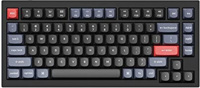 Keychron Q1 RGB Wired Mechanical Keyboard, QMK/VIA Programmable Macros with 75% Layout, Hot-swappable Gateron G Pro Brown Switch, Compatible with Mac Windows