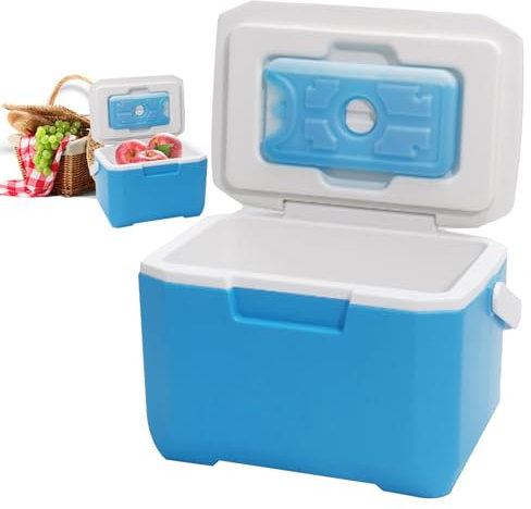 Petit refroidisseur rigide - Refroidisseur portable isolé, Refroidisseur portatif extérieur Refroidisseur de réfrigérateur pour au