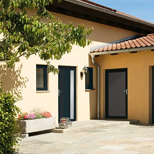 Articles de maison, porte d'entrée anthracite 98 x 208 cm PVC, meubles de costume
