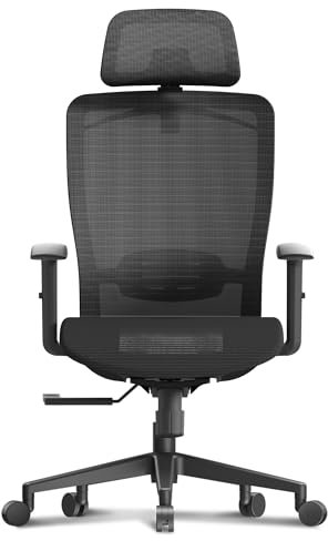 FitStand ErgoChair Pro Ergonomischer Bürostuhl, Drehstuhl, Computerstuhl, Heimbüro-Schreibtischstuhl, mit Lendenwirbelstütze/2D-Kopfstütze/136 kg schwere/abschließbare Rückenlehne, Netz-Sitzkissen