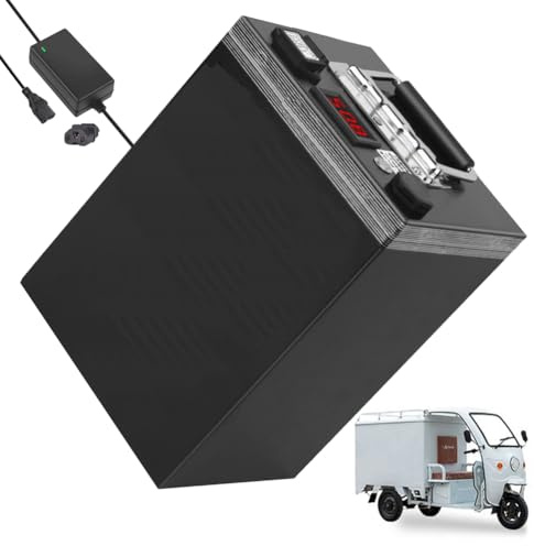 WSDAV Batteria per Moto 48V 60V 72V LiFePO4 15Ah 17Ah 22Ah 28Ah 38Ah 40Ah 45Ah 55Ah con Caricabatterie per Motore 0-4000W