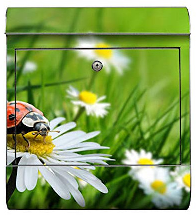 motivX-Ideenwerkstatt Briefkasten Kombi Wandbriefkasten mit Motiv Marienkäfer auf grüner Wiese