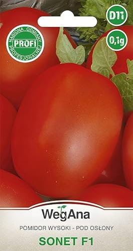 WegAna Tomaten Sonet F1 0,1g Samen Tomatensamen Robuste Gemüsesamen, Gemüse Samen Anzucht Saatgut für Gewächshaus Garten Ausgezeichnete Lagerung