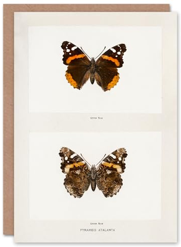 Artery8 Sherman Denton Personalised Art Card Red Admiral Butterfly Vintage Illustration