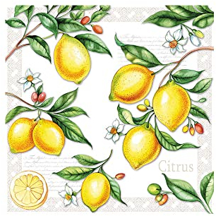 Serviette Zitrusfrucht 33x33cm halbes Motiv 20 Stück