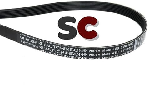 SC Solocorreas - Courroie de transmission rainurée pour sèche-linge Noir 7PH 2010 H Compatible avec Whirlpool, Indesit, Ariston, Bauknecht et autres marques