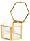 Baoblaze Hexagon Terrarium Container Töpfe Mini Glashaus für Pflanzen Schmuck Kerzen und DIY, Golden, 8 x 6,8 x 4,5 cm