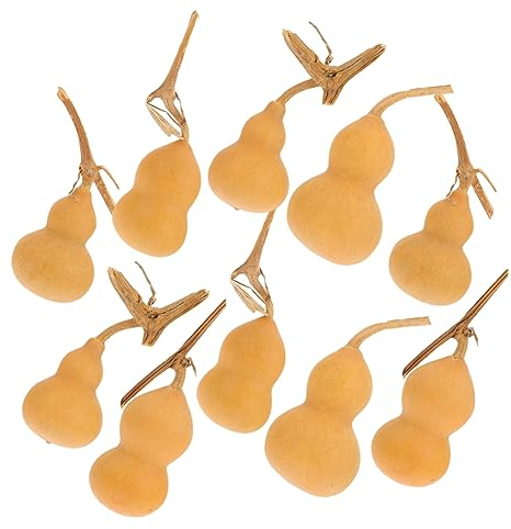 KONTONTY 10 Pezzi Wen Gioca a Mini Zucca Mini zucche Decorative Mini zucche Ornamentali Zucca secca Originale Ornamenti Desktop Zucca parà adornano la Zucca Decorativa Zucca Naturale