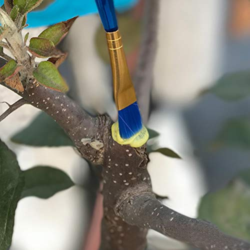 RASTKY Bonsai-Pfropfpaste, Wirksames Mittel Zur Wundheilung von Pflanzen Zum Beschneiden, 100 G, mit Pinsel für Anfänger (Sortierte Farbe)